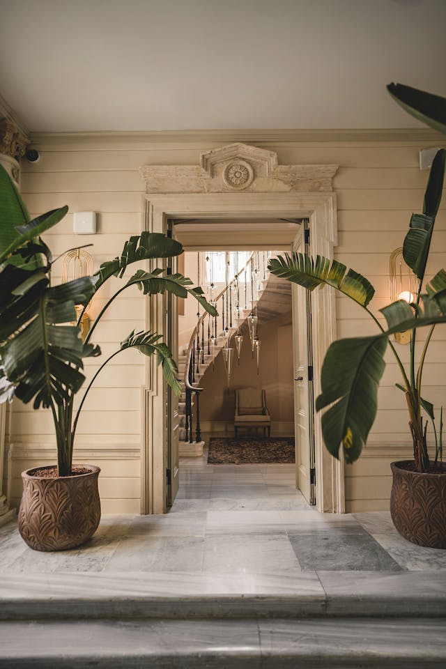 Luxury Presidential Suite